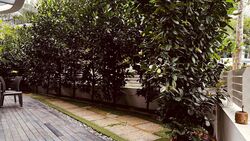 D'Leedon (D10), Condominium #441498471